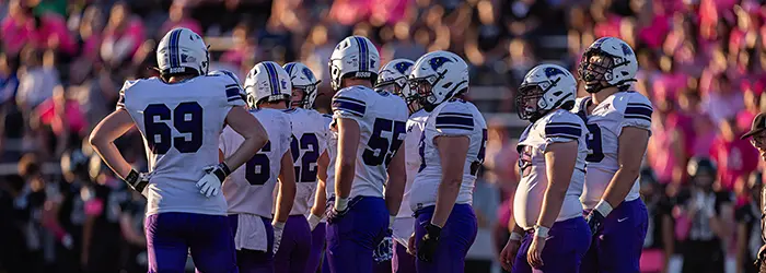 Buffalo Bison Offensive