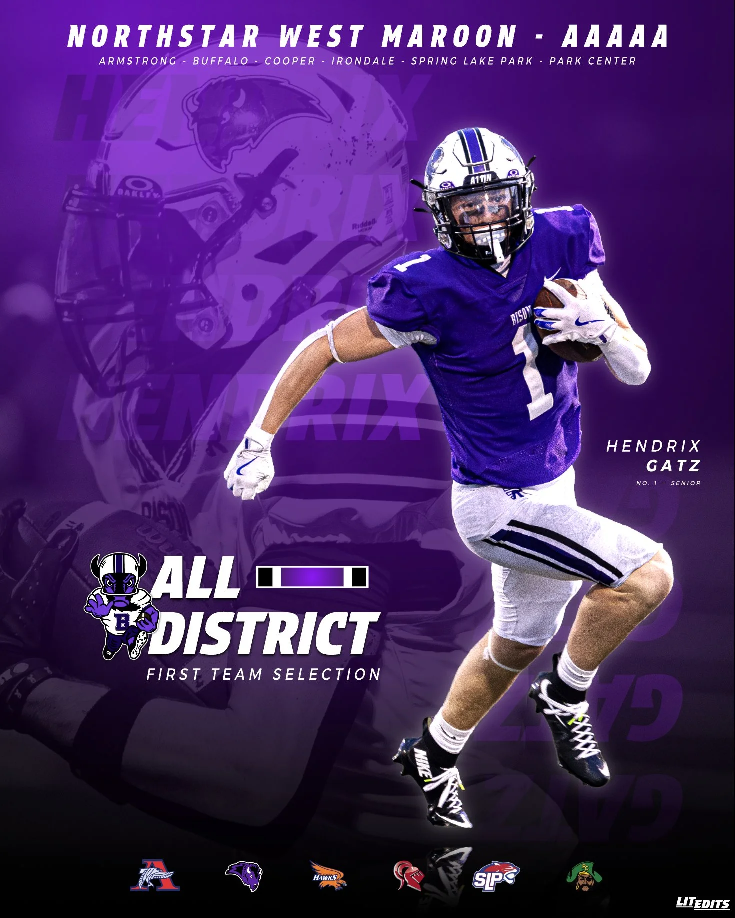 Buffalo Bison Hendrix Gatz - First Selection