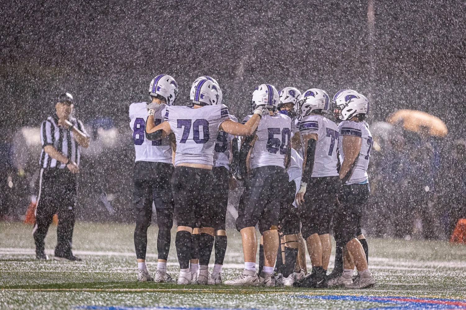 Buffalo Huddle in the rain