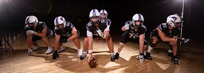 Buffalo Bison Offense