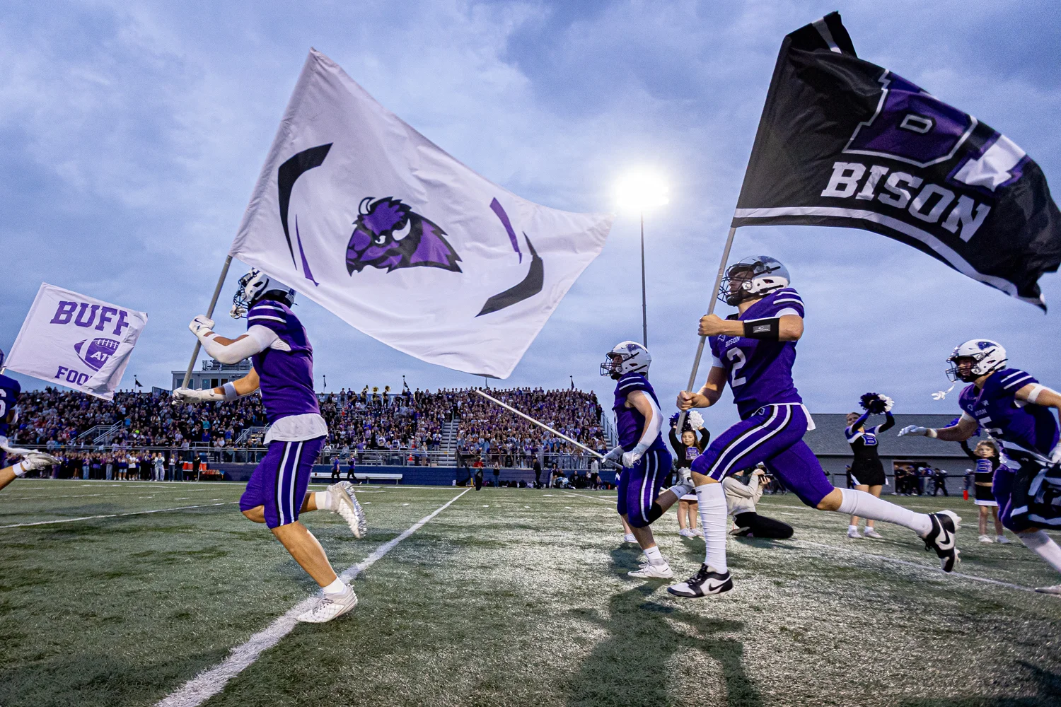Buffalo Bison hitting the field