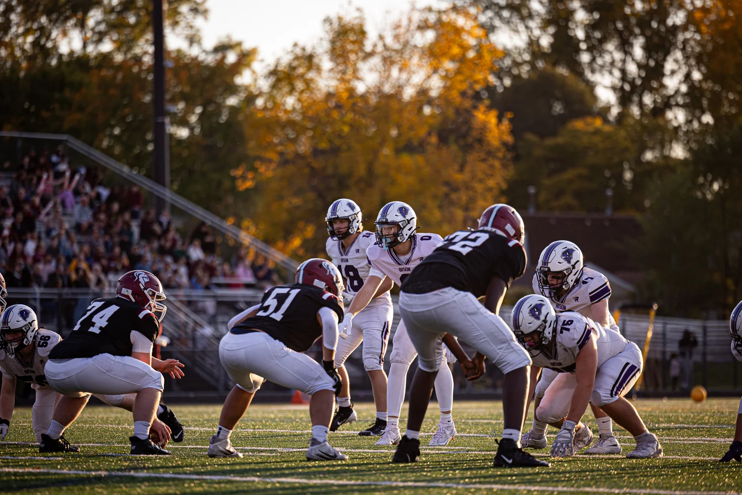 Buffalo Bison on defense waiting for the snap