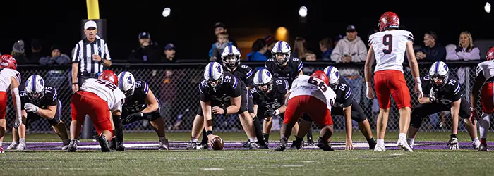 Buffalo Bison Offense
