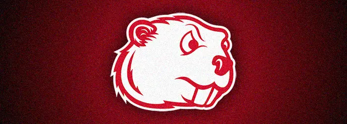 Minnesota State Moorhead Dragons Football