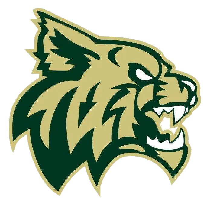 Chisago Lakes Area Wildcats Football